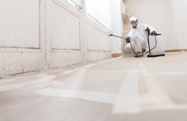24/7 Emergency Mold Removal experts in Glencoe, FL
